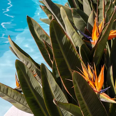 Nazaret Mansion Hotel 3*