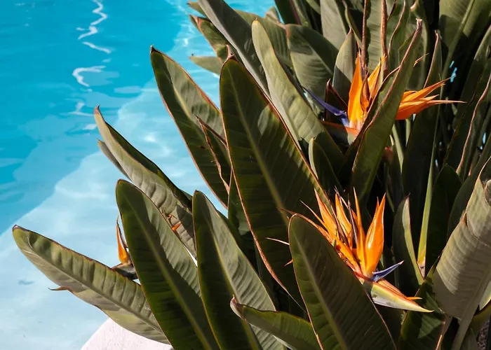 Nazaret Mansion Hotel 3*